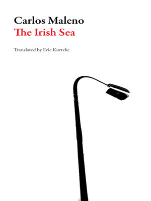 cover image of The Irish Sea